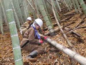 5月「里山つなぎ隊 竹林整備」を開催しました！：詳細ページを見る