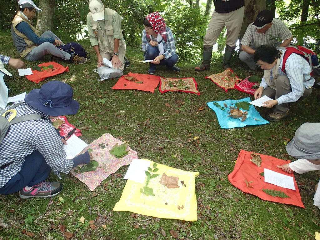 7月「ろうきん森の学校自然体験活動」を募集中♪：詳細ページを見る
