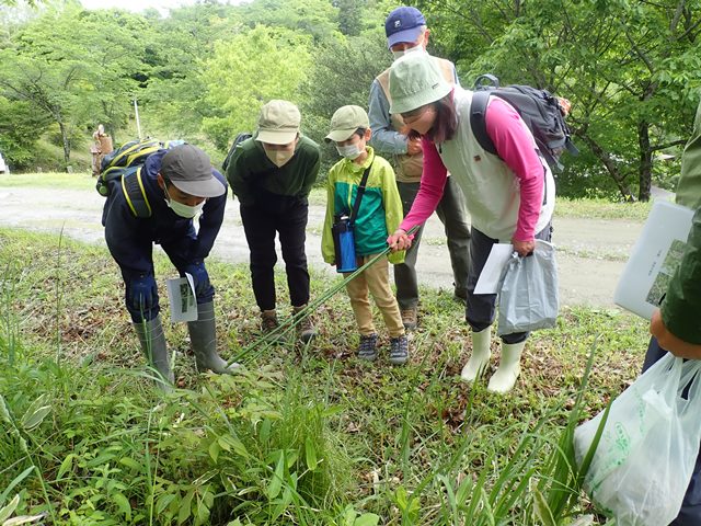 5月「ろうきん森の学校自然体験活動」を開催しました♪：詳細ページを見る