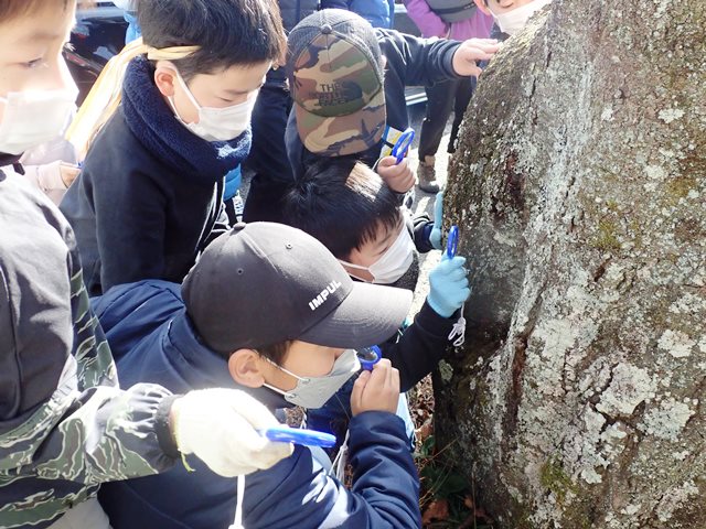 2月「ろうきん森の学校自然体験活動」を開催しました♪：詳細ページを見る