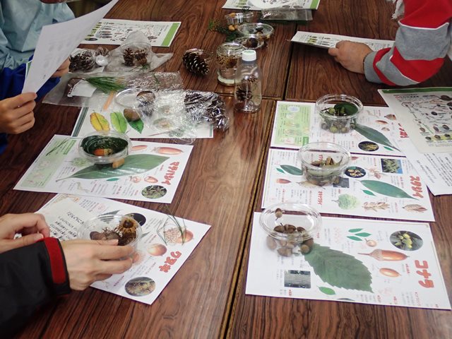 10月「ろうきん森の学校自然体験活動」を開催しました♪：詳細ページを見る
