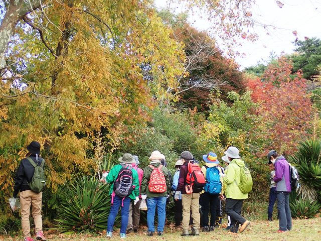 11月「ろうきん森の学校自然体験活動」を開催しました♪：詳細ページを見る