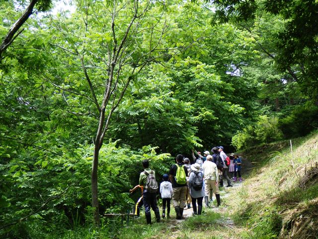 6月「ろうきん森の学校自然体験活動」を開催しました♪：詳細ページを見る