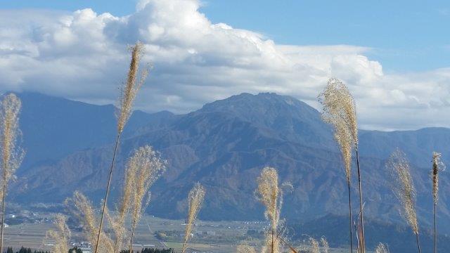 20151106_130100