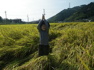 9月里山のようちえん１ - 圧縮