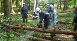森林整備・農作業