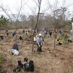 森林整備-農作業の様子-海岸林の整備しています