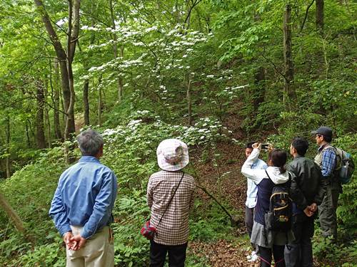 観察会20160515_1-T - 圧縮