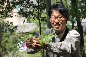 0709植物図鑑 -圧縮