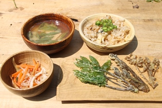 4月23日森の恵みを味わう -圧縮