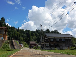 新潟大 (12)