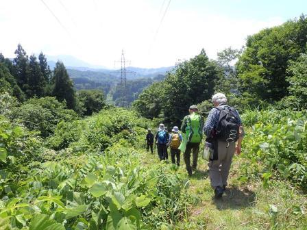 7月9日「中ノ俣古道散策会 「春日山西方の砦を巡る」 」を開催しました！：詳細ページを見る