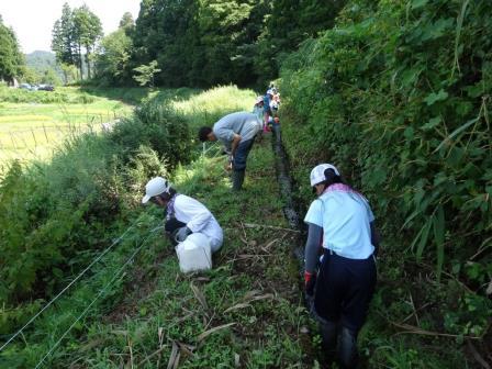 8月27日「～森と棚田の保全活動～  棚田学校」を開催しました！：詳細ページを見る