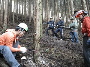 日本の森は今：詳細ページを見る